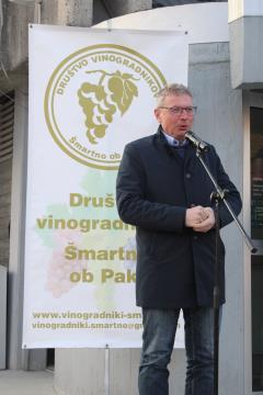 Rez potomke stare trte_2